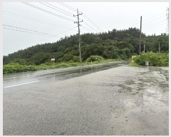  2024Ÿ3188 泲 ¾ȱ ϸ 氥 172-3      ð