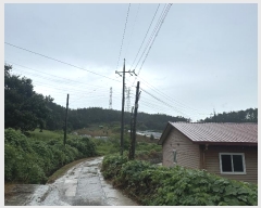  2024Ÿ3188 泲 ¾ȱ ϸ 氥 172-3      ð