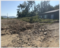  2024Ÿ4402 泲 ¾ȱ  ݸ 1255      (1)