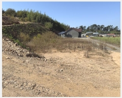  2024Ÿ4402 泲 ¾ȱ  ݸ 1255      (1)