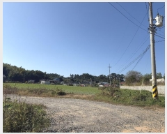  2024Ÿ4402 泲 ¾ȱ  ݸ 1255      (1)