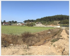  2024Ÿ4402 泲 ¾ȱ  ݸ 1255      (1)