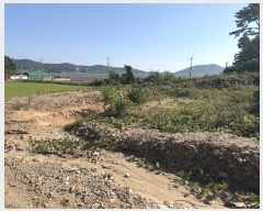  2024Ÿ4402 泲 ¾ȱ  ݸ 1255      (1)