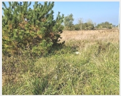  2024Ÿ��4570  �������