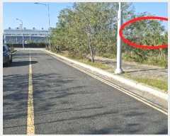  2024Ÿ��4570  �������