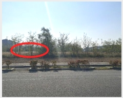  2024Ÿ��4570  �������