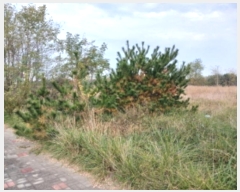  2024Ÿ��4570  �������