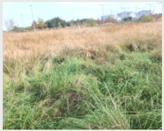  2024Ÿ��4570  �������