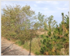  2024Ÿ��4570  �������