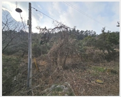  2024Ÿ4921 泲 ¾ȱ ϸ Ȳ̸ 241-1      (Ӿ)