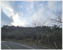  2024Ÿ4921 泲 ¾ȱ ϸ Ȳ̸ 241-1      (Ӿ)