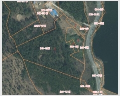  2024Ÿ4921 泲 ¾ȱ ϸ Ȳ̸ 241-1      (Ӿ)