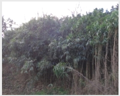  2024Ÿ4921 泲 ¾ȱ ϸ Ȳ̸ 241-1      (Ӿ)