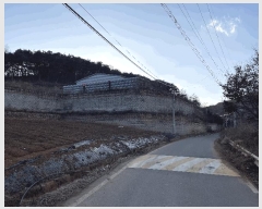  2024Ÿ��5238  ������