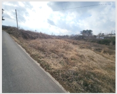  2024Ÿ5290 泲  ۾  247-1      (Ӿ)