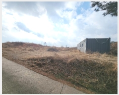  2024Ÿ5290 泲  ۾  247-1      (Ӿ)