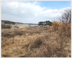  2024Ÿ5290 泲  ۾  247-1      (Ӿ)