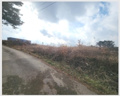  2024Ÿ5290 泲  ۾  247-1      (Ӿ)