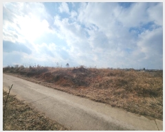  2024Ÿ5290 泲  ۾  247-1      (Ӿ)