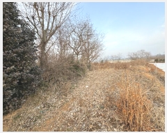  2024Ÿ��5375  �������