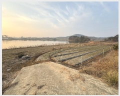  2024Ÿ��5375  �������