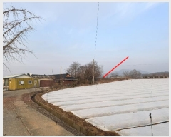  2024Ÿ��5375  �������