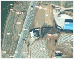  2024Ÿ��5375  �������