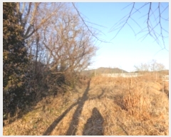  2024Ÿ��5375  �������