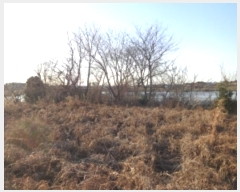  2024Ÿ��5375  �������