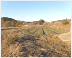  2024Ÿ��5375  �������