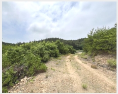  2024Ÿ55868 泲 ¾ȱ ϸ Ȳ̸ 205      (Ӿ)