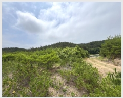  2024Ÿ55868 泲 ¾ȱ ϸ Ȳ̸ 205      (Ӿ)