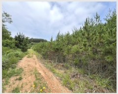  2024Ÿ55868 泲 ¾ȱ ϸ Ȳ̸ 205      (Ӿ)