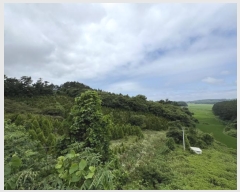  2024Ÿ55868 泲 ¾ȱ ϸ Ȳ̸ 205      (Ӿ)