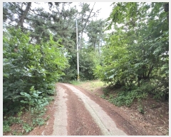  2024Ÿ55868 泲 ¾ȱ ϸ Ȳ̸ 205      (Ӿ)