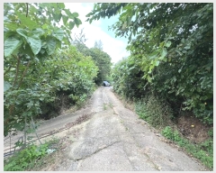  2024Ÿ��58317 �泲 ������ ��ε� 814       ���ð��