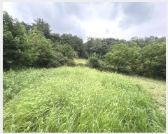  2024Ÿ��58317 �泲 ������ ��ε� 814       ���ð��