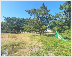  2024Ÿ59594 泲 ¾ȱ ҿ ׸ 1130      ()