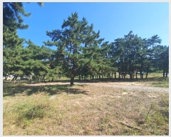  2024Ÿ59594 泲 ¾ȱ ҿ ׸ 1130      ()