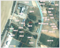  2024Ÿ59594 泲 ¾ȱ ҿ ׸ 1130      ()