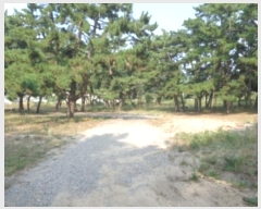  2024Ÿ59594 泲 ¾ȱ ҿ ׸ 1130      ()