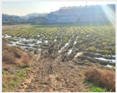  2024Ÿ��60006 �泲 ������ �۾��� ������ 321-29      ����(��)���