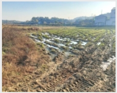  2024Ÿ��60006 �泲 ������ �۾��� ������ 321-29      ����(��)���