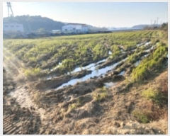  2024Ÿ��60006 �泲 ������ �۾��� ������ 321-29      ����(��)���