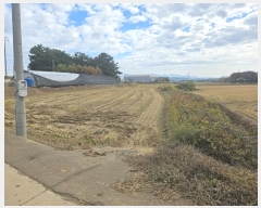  2024Ÿ60143 泲  մ  75-2      (1)