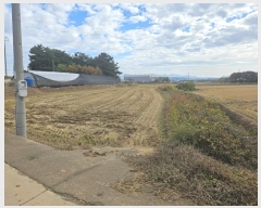  2024Ÿ60143 泲  մ  75-2      (1)