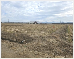  2024Ÿ60143 泲  մ  75-2      (1)