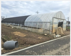  2024Ÿ60143 泲  մ  75-2      (1)