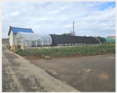  2024Ÿ60143 泲  մ  75-2      (1)