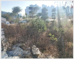  2024Ÿ60174 泲  û 378-2       ()